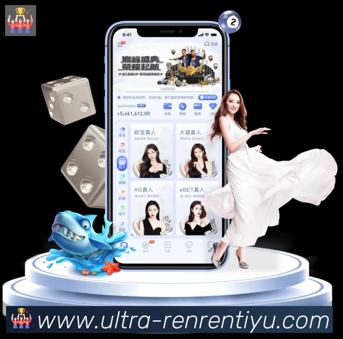 未来规划